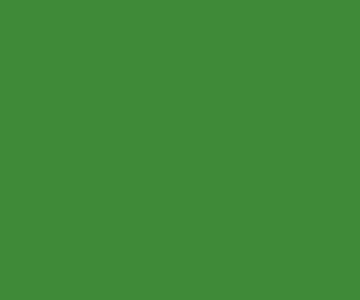 Iran Business Visa (type A)